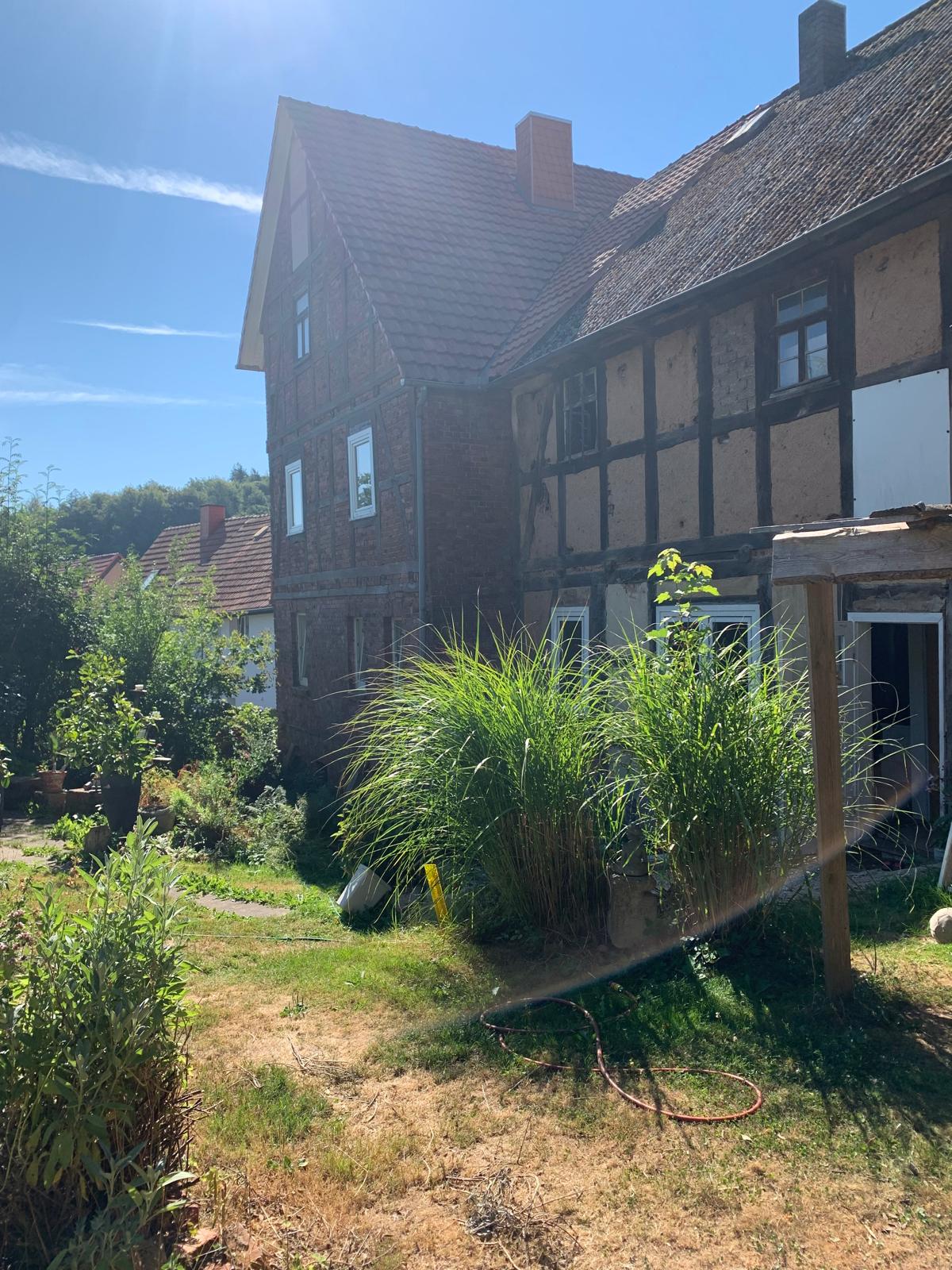 Garten und Südhang